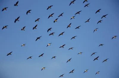 Illustration aerial - Image 1