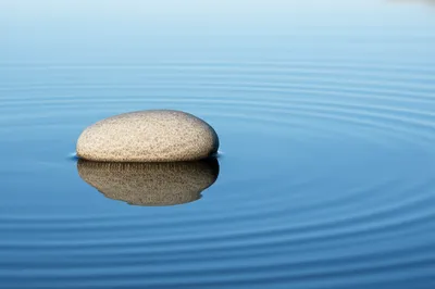 Illustration settle - Image 1