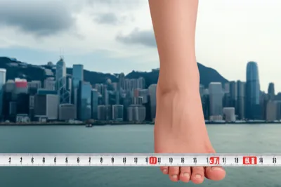 Illustration chis - Image 1