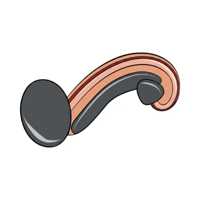 Illustration dick - Image 1