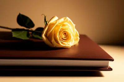 Illustration posthumous - Image 1