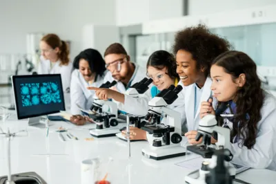 Illustration microscopy - Image 1