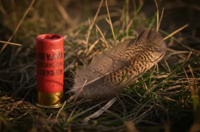 Illustration gages - Image 1