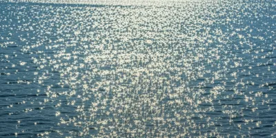 Illustration glinted - Image 1