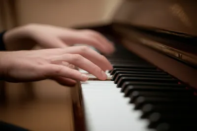 Illustration keyboards - Image 1