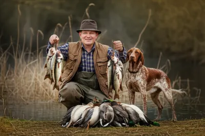 Hình ảnh minh họa bags - Ảnh 1