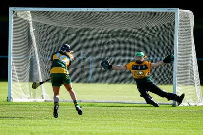 Illustration puck - Image 1