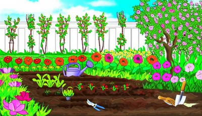 Illustration horticulture