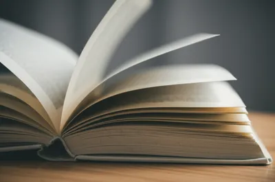 Illustration flyleaf - Image 1