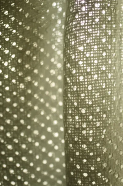 Illustration pounce - Image 1