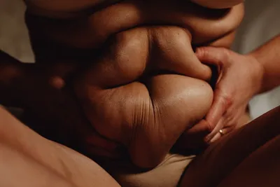 Illustration fatted - Image 2