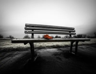 Illustration quietest - Image 1