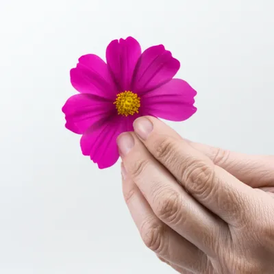 Illustration wrinkles - Image 1