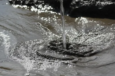 Illustration purged - Image 1