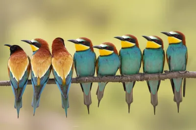 Illustration octet - Image 1