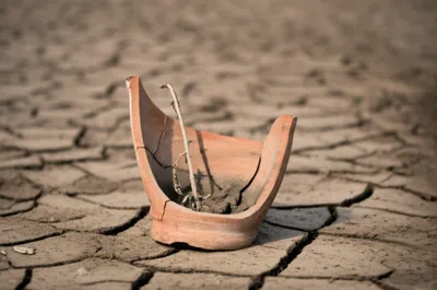 Illustration eager - Image 1