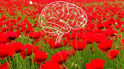 Illustration opioids - Image 1