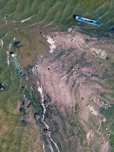 Illustration boated - Image 2