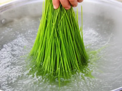 Illustration sod - Image 1