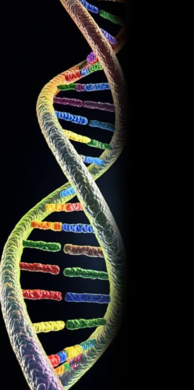 Illustration silenced - Image 1