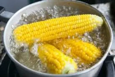 Illustration boil - Image 2