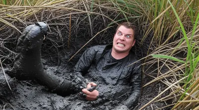 Illustration bogs - Image 1