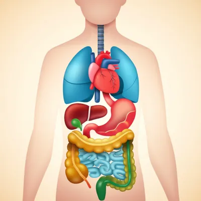 Illustration insides - Image 1