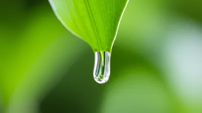 Illustration dripped