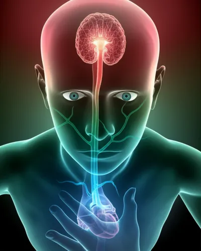 Illustration epinephrine