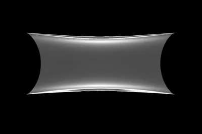 Illustration caul - Image 1