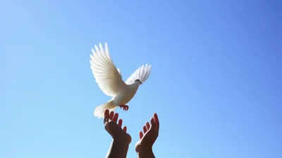 Illustration relinquish - Image 1