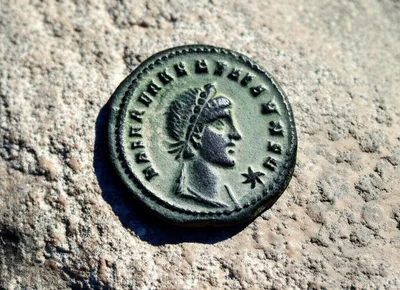 Illustration semis - Image 1