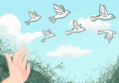 Illustration redirect - Image 1