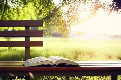 Illustration stayed - Image 1