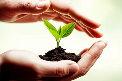 Illustration foster - Image 1