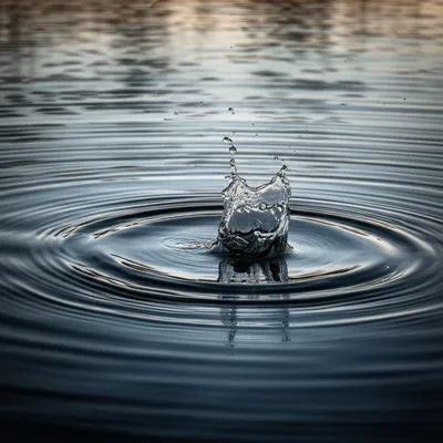 Illustration boult - Image 1