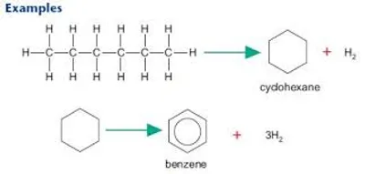 Illustration reform - Image 2