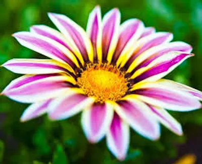 Illustration out - Image 4