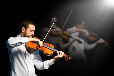 Illustration solo - Image 1