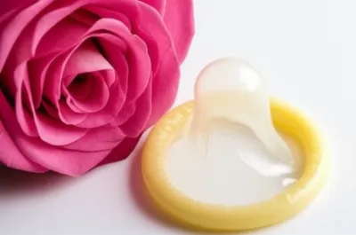 Illustration sheath - Image 1