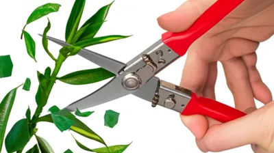 Illustration trash - Image 1