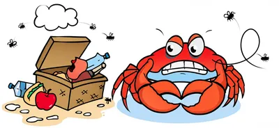 Illustration crabs - Image 1