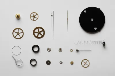 Illustration constituent - Image 1