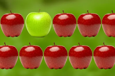 Illustration distinguishing - Image 1