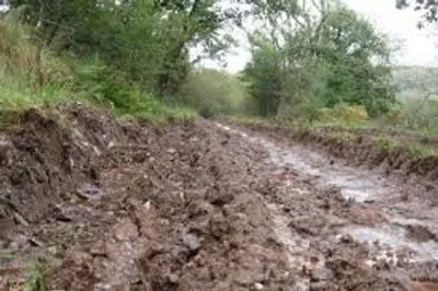 Illustration quagmire - Image 2