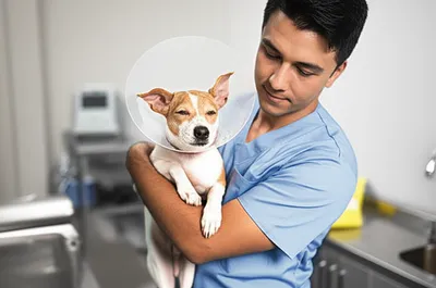 Illustration alters - Image 1