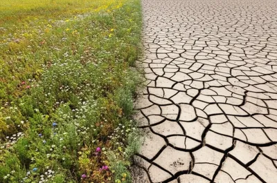 Illustration untilled