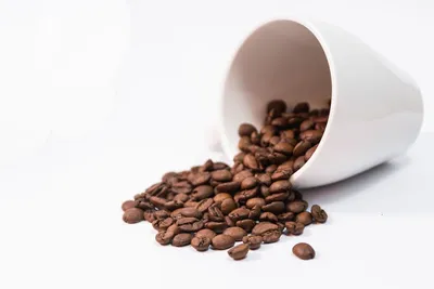 Illustration toppled - Image 2