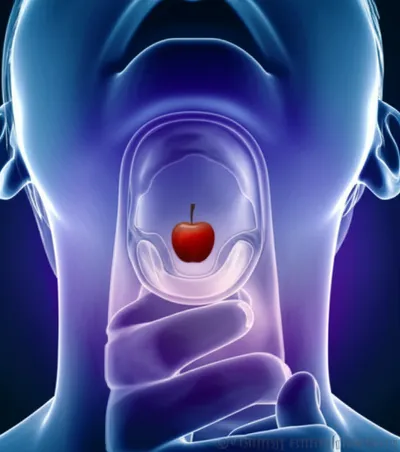 Illustration swallowing - Image 1