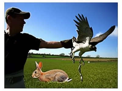 Illustration slipping - Image 1